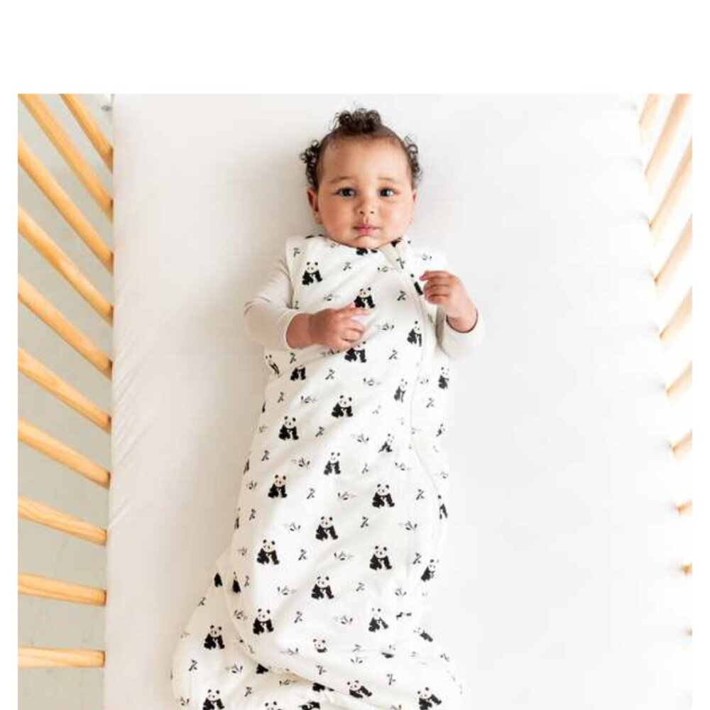 New Kyte Baby sleep bag, 1 tog size large - Picture 2 of 5